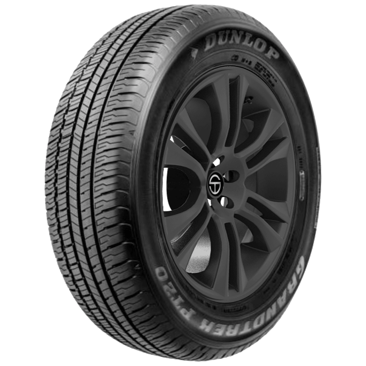 Dunlop Grandtrek PT20 (225/65R17 102H)