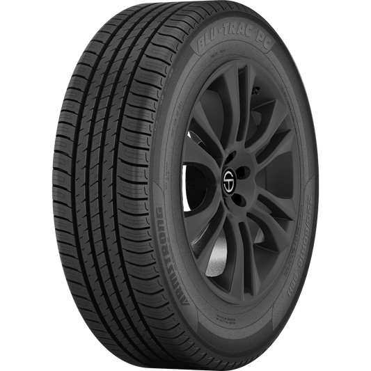 Armstrong Blu-Trac PC 205/55R16